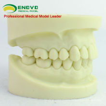 DENTAL05(12564) модель подготовки полости челюсти для стоматологической подготовки студентов 